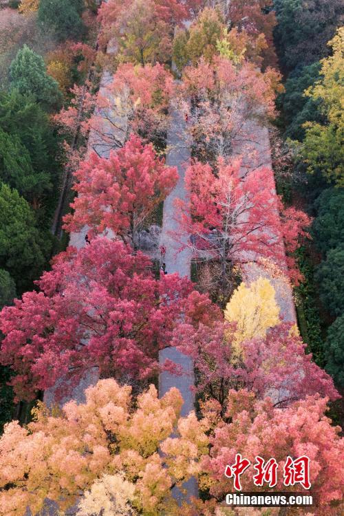 Galeria: paisagem outonal em Nanjing