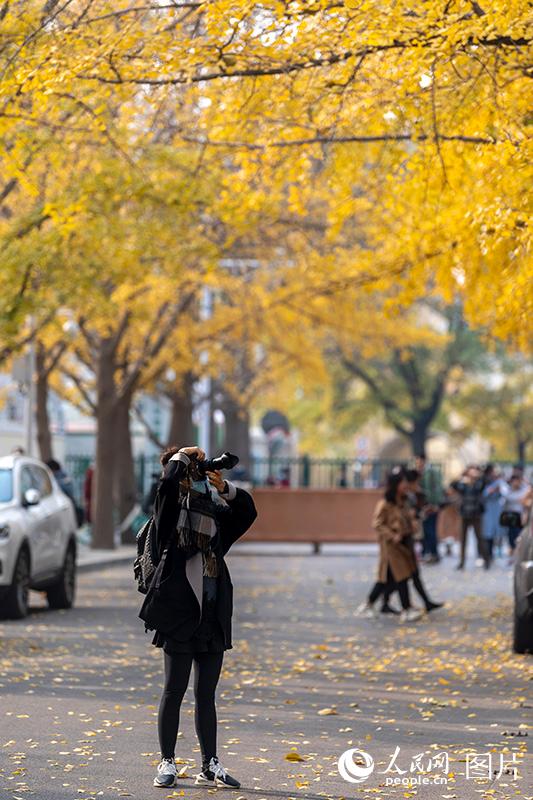 Galeria: paisagem outonal no início do inverno em Beijing