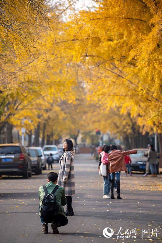 Galeria: paisagem outonal no início do inverno em Beijing