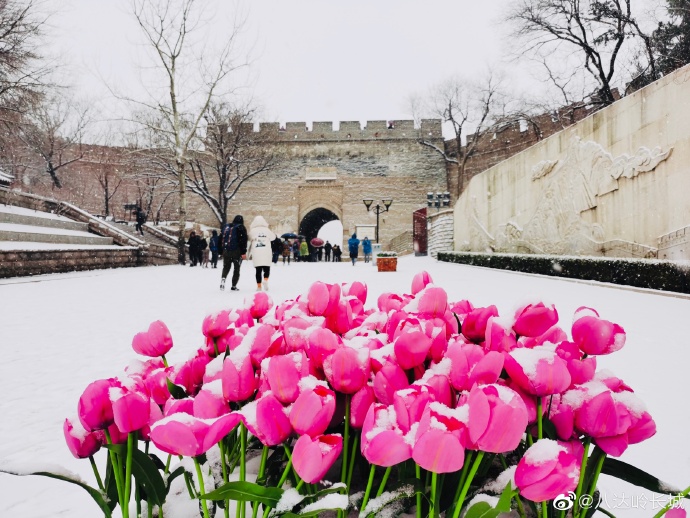 Galeria: paisagem invernal da Grande Muralha Badaling