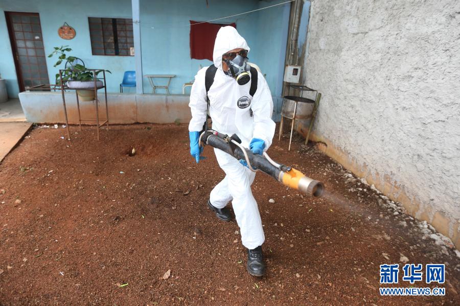 Ministério da Saúde do Brasil lança campanha de combate e prevenção ao mosquito Aedes aegypti