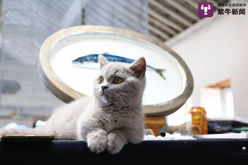 Jovem chinês desenha pinturas realistas em resina 3D com cola