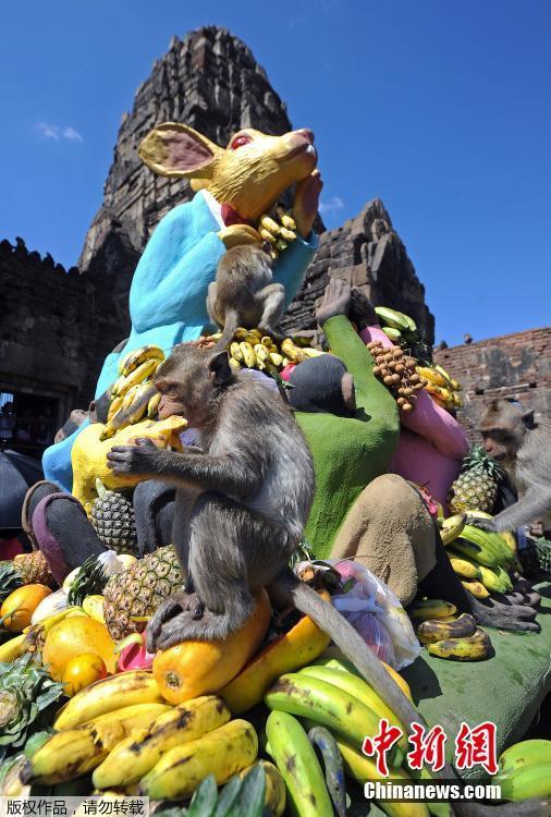 Tailândia: cidade de Lopburi realiza buffet anual dedicado aos macacos