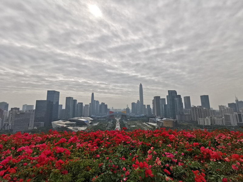 Parque Lianhuashan tem vista panorâmica de Shenzhen