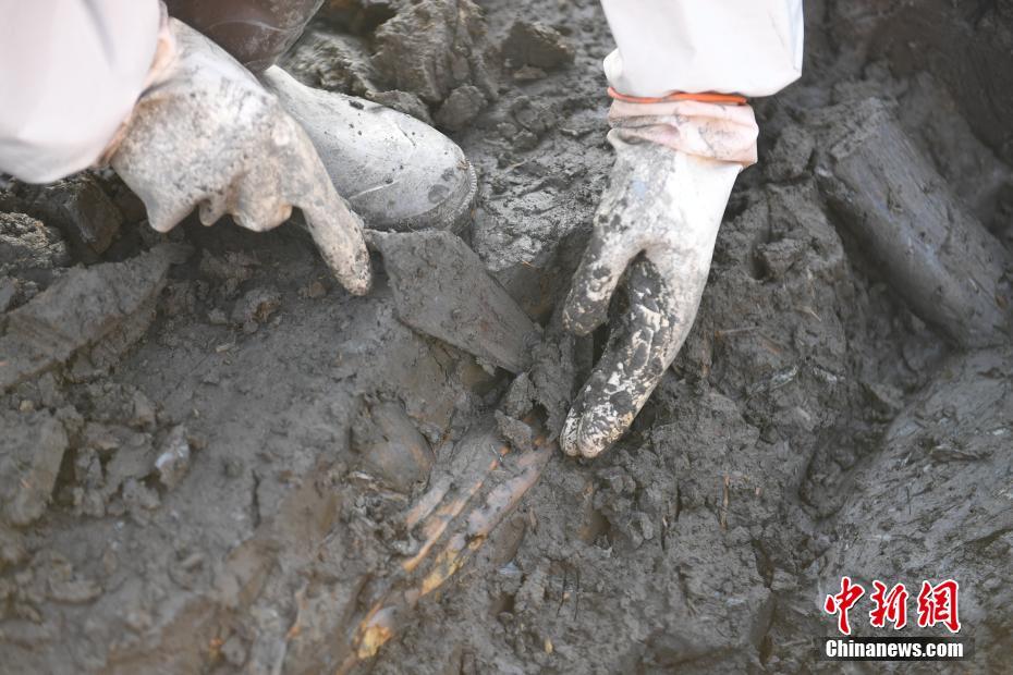 Arrozal mais antigo do mundo descoberto em Zhejiang