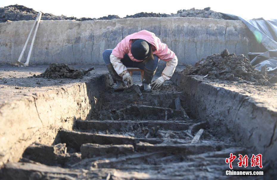 Arrozal mais antigo do mundo descoberto em Zhejiang