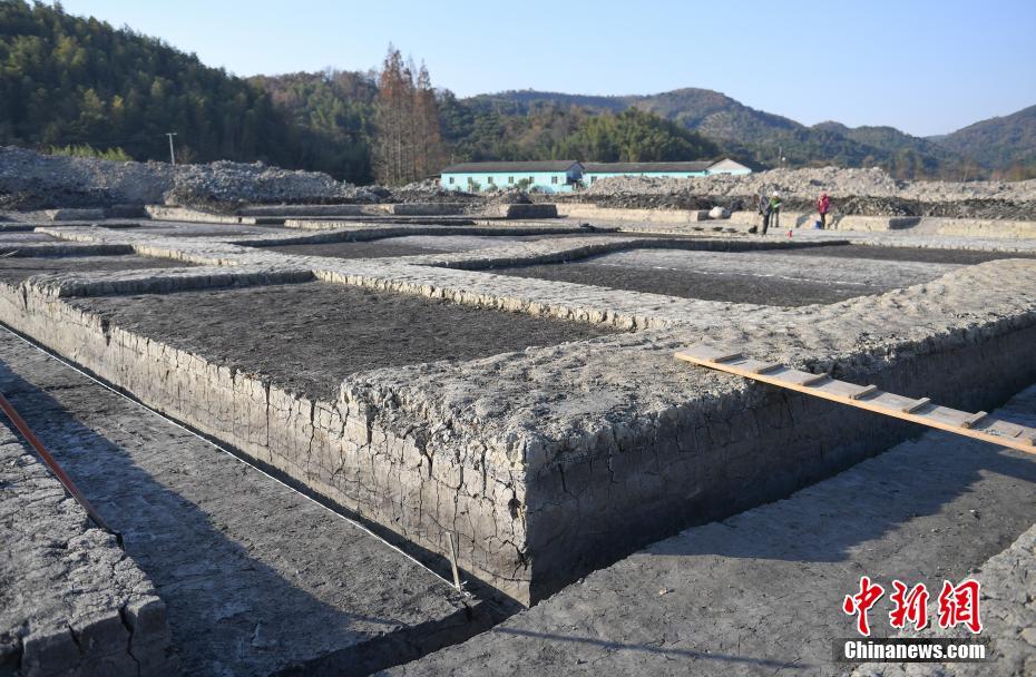 Arrozal mais antigo do mundo descoberto em Zhejiang