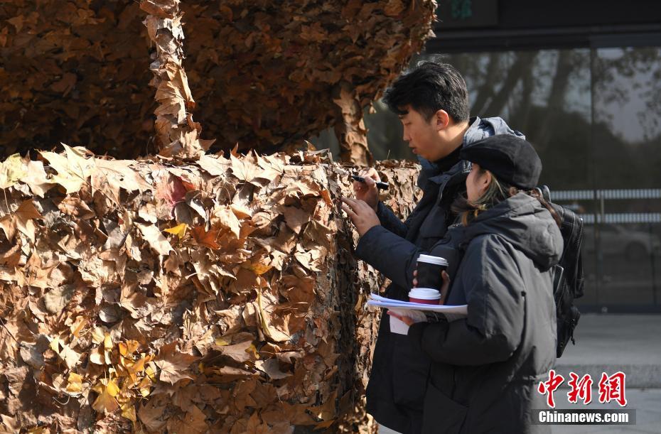 Hangzhou lança instalação artística de folhas outonais 