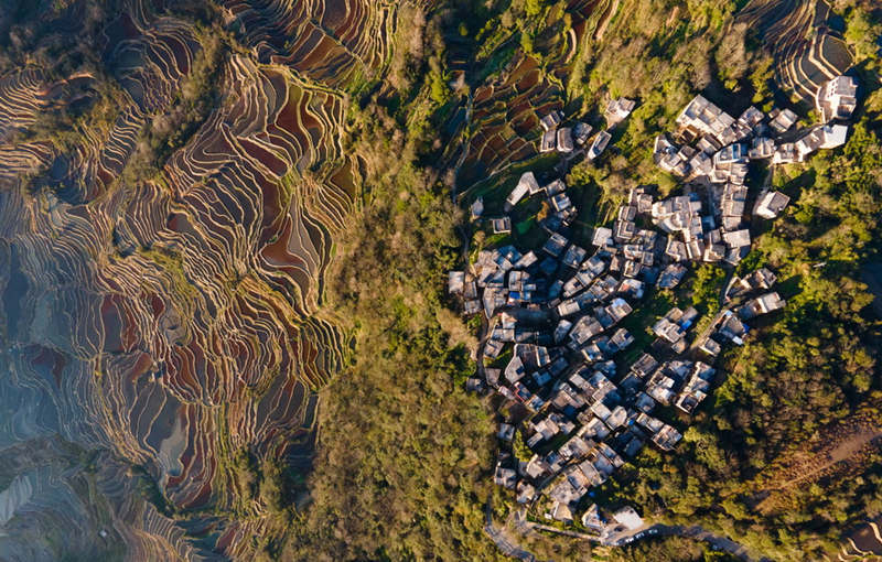 Galeria: arrozais de Honghe Hani, Yunnan