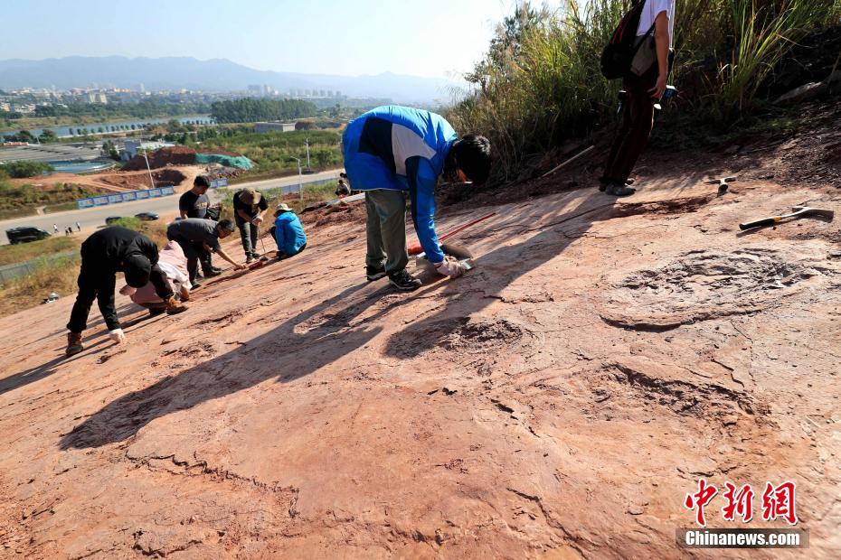 Província descobre o maior número de pegadas de dinossauros na China até hoje