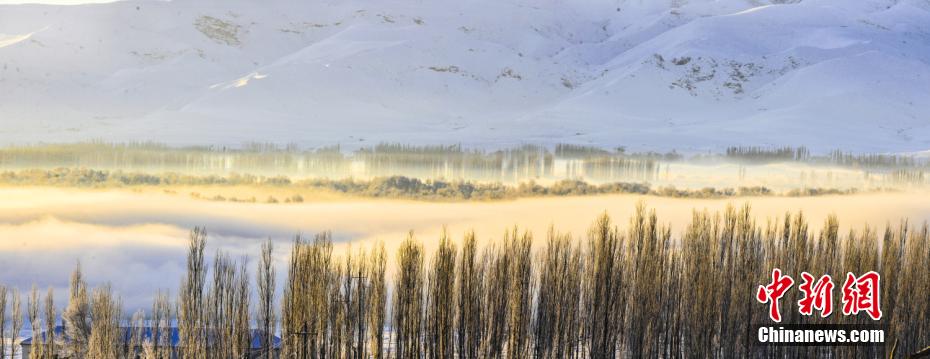 Galeria: paisagem invernal do condado de Nilka, Xinjiang