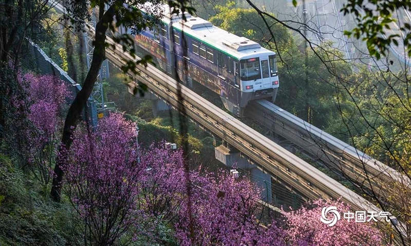 Galeria: monotrilho atravessa “mar de flores” em Chongqing