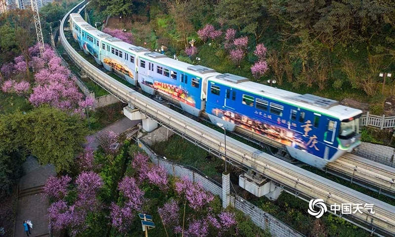 Galeria: monotrilho atravessa “mar de flores” em Chongqing