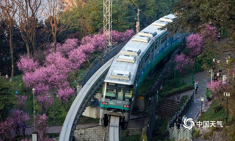 Galeria: monotrilho atravessa “mar de flores” em Chongqing