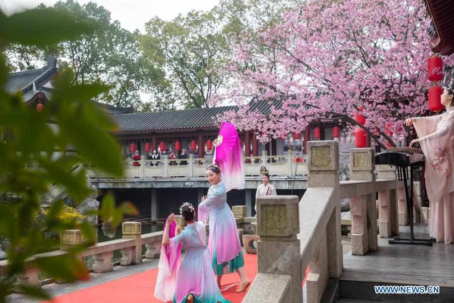 Parque de cerejeira em Wuhan abre ao público