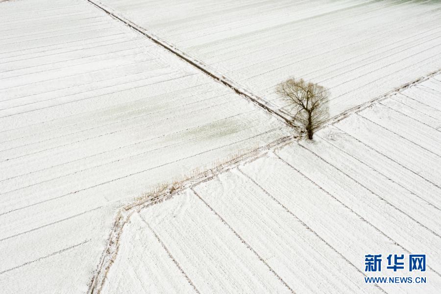 Galeria: Paisagem de neve de primavera