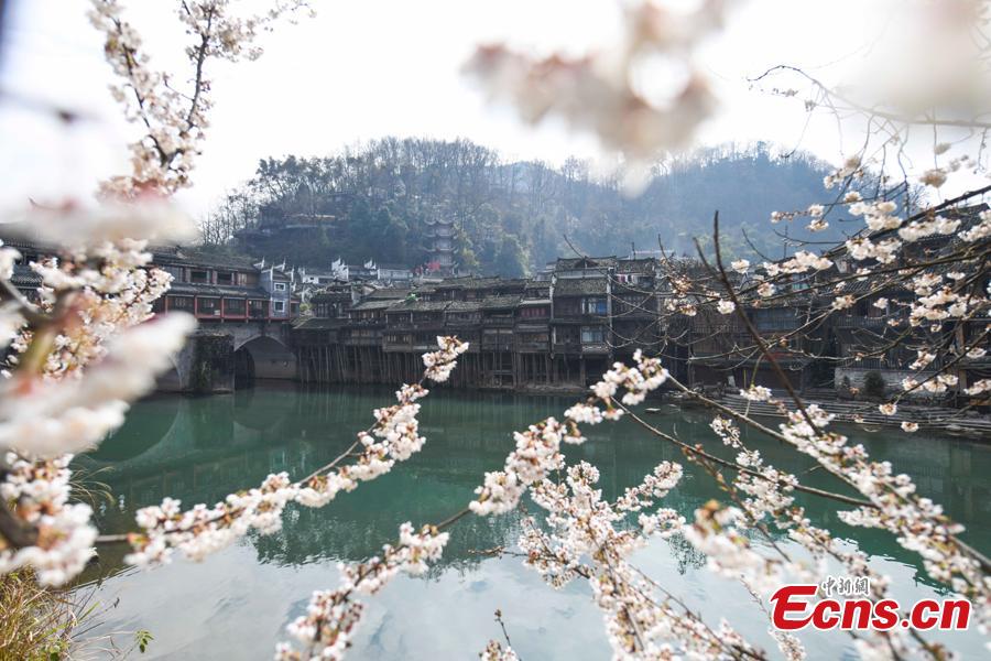 Galeria: Bela cidade antiga de Fenghuang