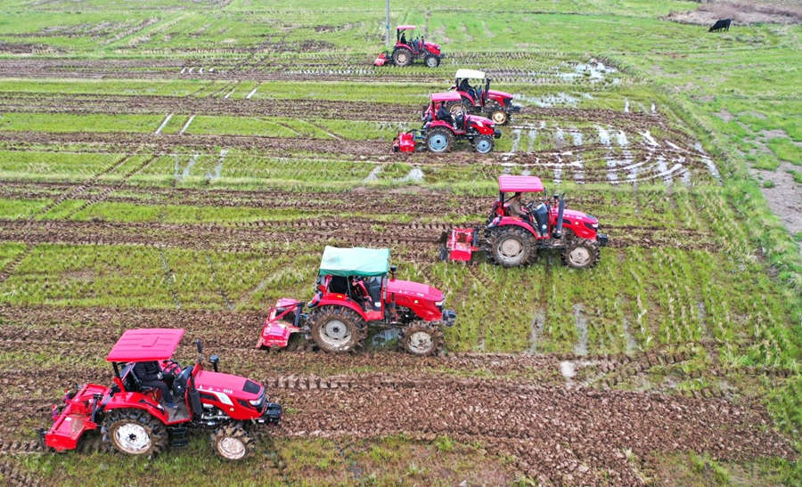 China constrói mais de 5,59 milhões de hectares de terra cultivável de alto padrão em 2020