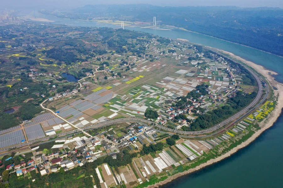 China constrói mais de 5,59 milhões de hectares de terra cultivável de alto padrão em 2020