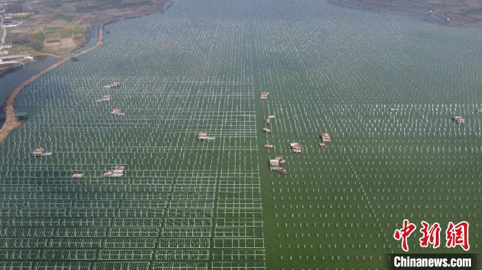 Galeria: Construção combina piscicultura e geração de energia fotovoltaica