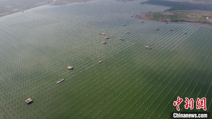 Galeria: Construção combina piscicultura e geração de energia fotovoltaica