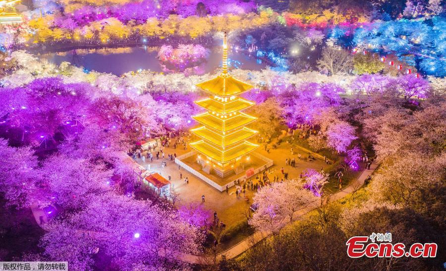 Galeria: Visão noturna do Parque de Cerejeira no Lago Leste de Wuhan