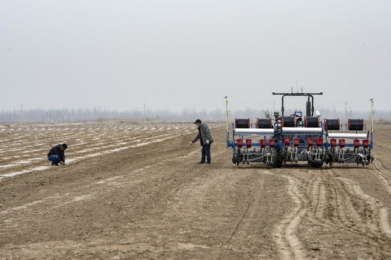 Xinjiang inicia semeadura de algodão da primavera