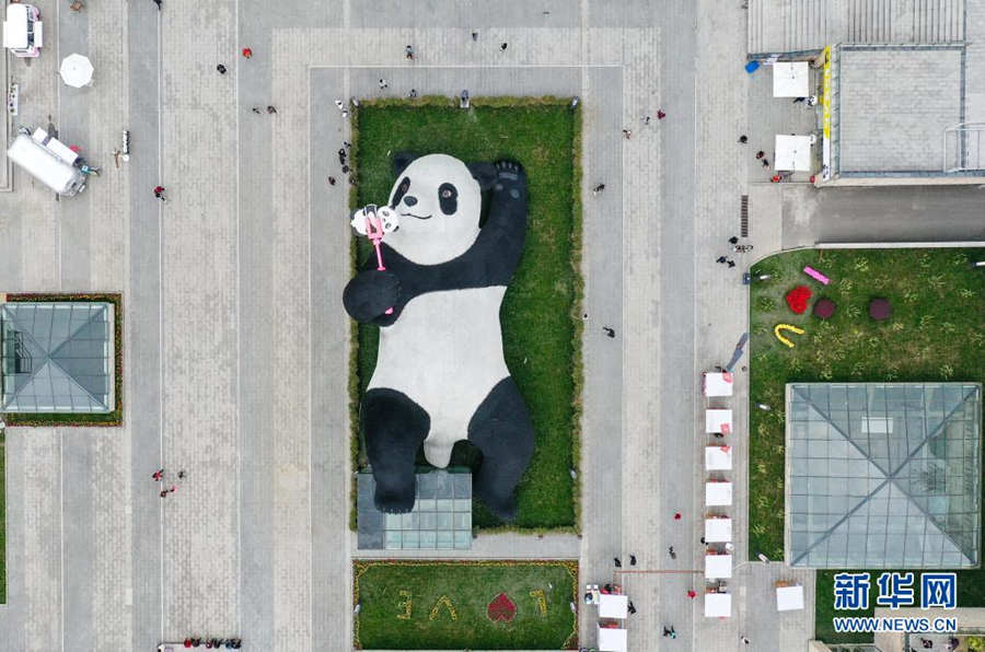 Sichuan: Escultura de panda é construída na cidade dos pandas gigantes