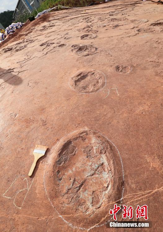 'Pista de dança de dinossauro' descoberta em Fujian, sudeste da China