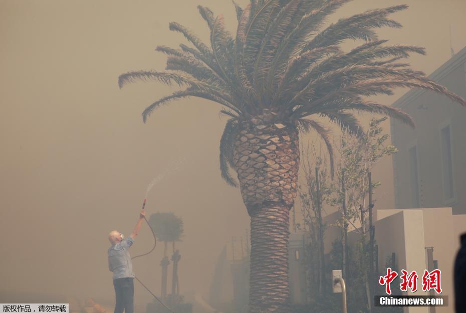 Parque Nacional da Table Mountain na África do Sul sofre incêndio

