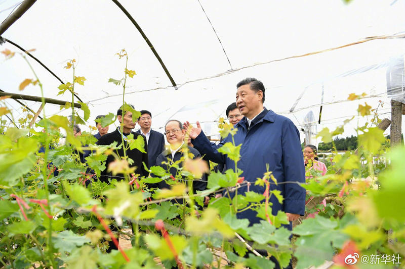 Xi Jinping faz visita de inspeção em Guangxi