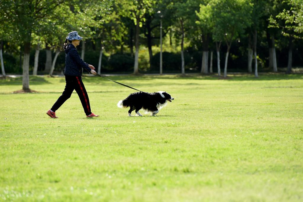 Chineses aproveitam feriado do Dia do Trabalhador