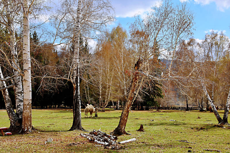 Galeria: Bela paisagem de Xinjiang