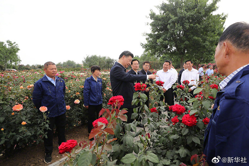 Xi inspeciona cidade de Nanyang, centro da China