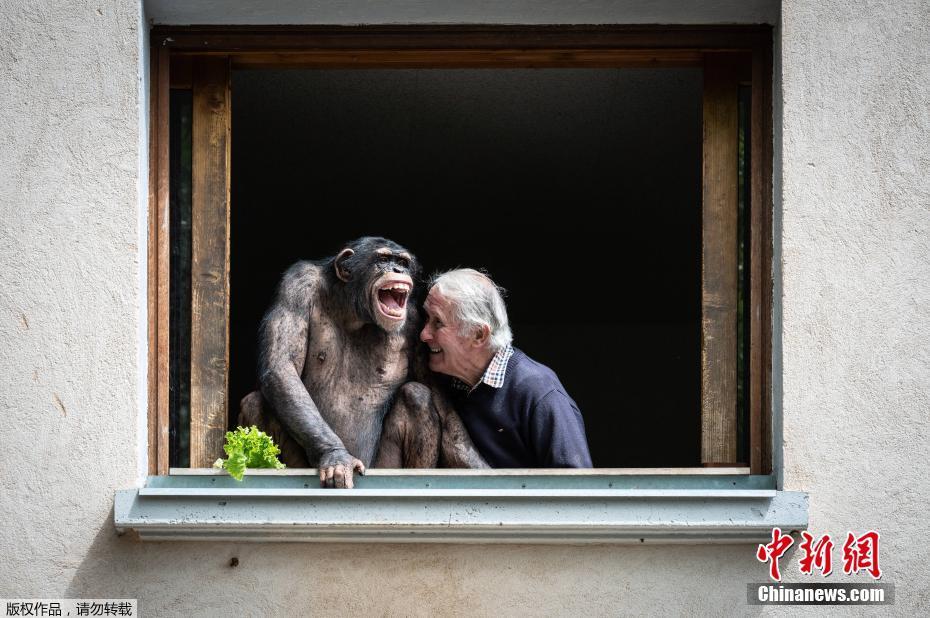 Jardim zoológico da França será reaberto