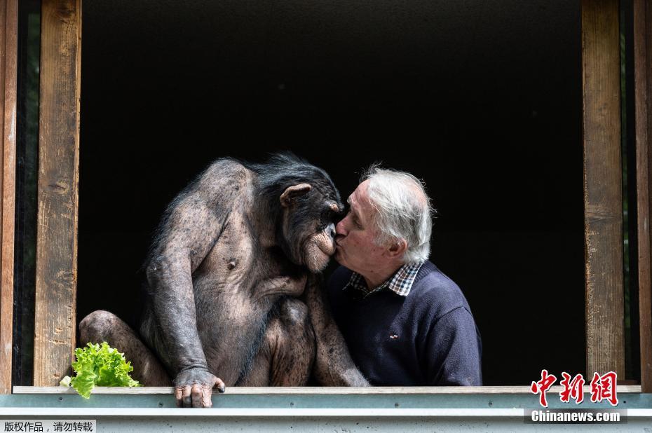 Jardim zoológico da França será reaberto