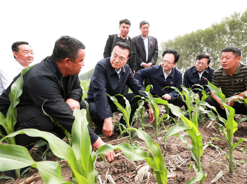 Primeiro-ministro chinês destaca novos avanços na revitalização do nordeste da China