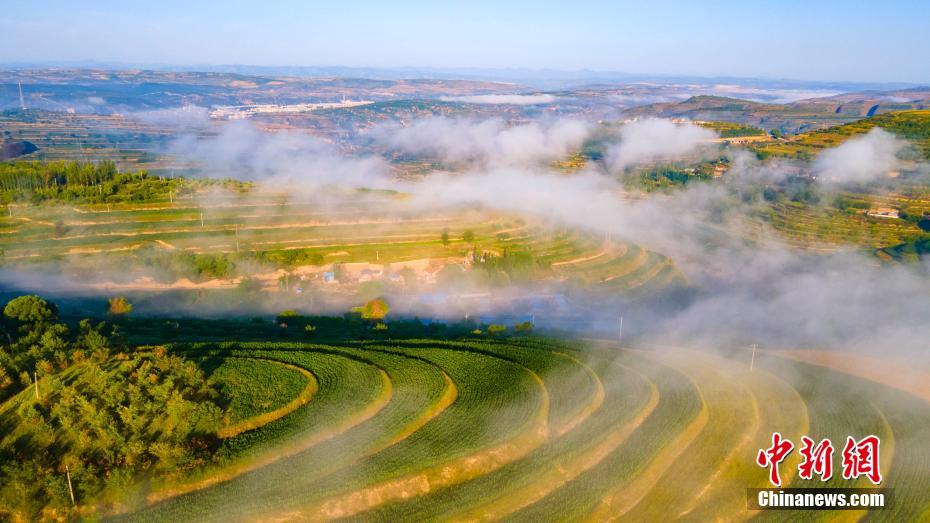 Galeria: bela paisagem dos campos em Ningxia