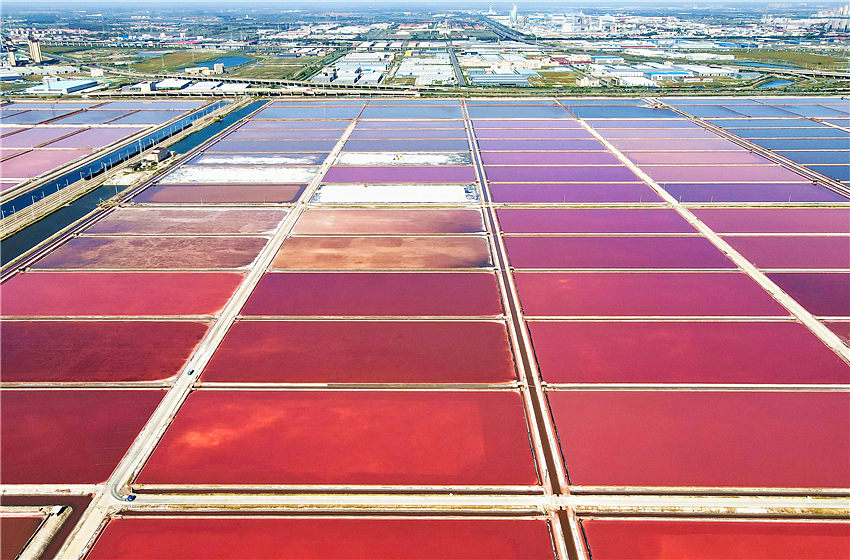 Campo de sal colorido em Tianjin