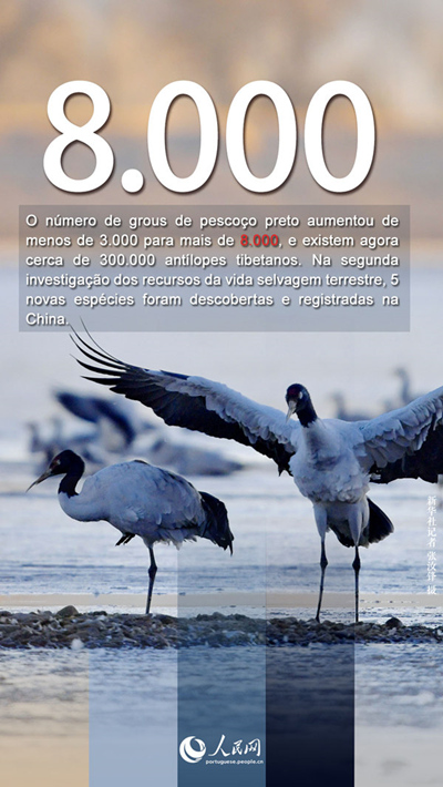 Tibete: retrospetiva de 70 anos após a libertação pacífica