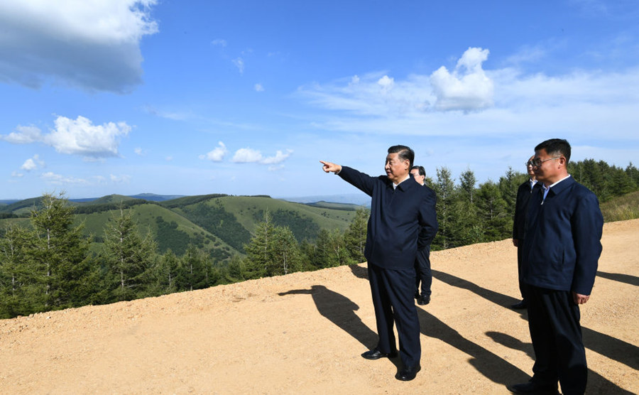 Xi inspeciona fazenda florestal na Província de Hebei