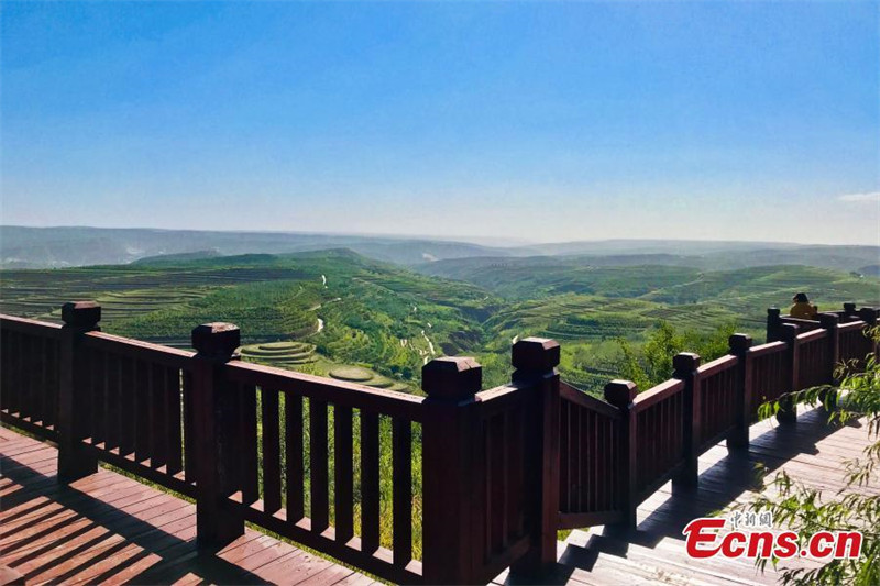 Ningxia: campos de terraços formam paisagem espetacular no início de outono 
