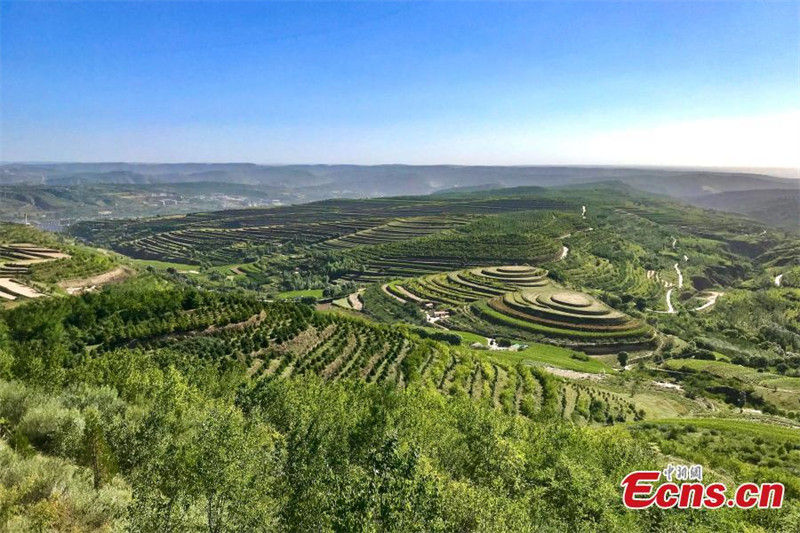 Ningxia: campos de terraços formam paisagem espetacular no início de outono 