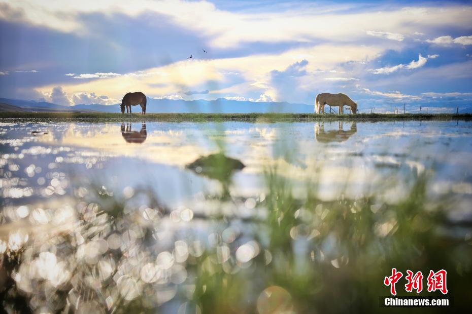 China traça plano para fazer do Tibete um modelo de civilização ecológica