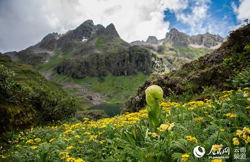 Yunnan: beleza natural da área cênica de Nanjiluo estimula turismo regional