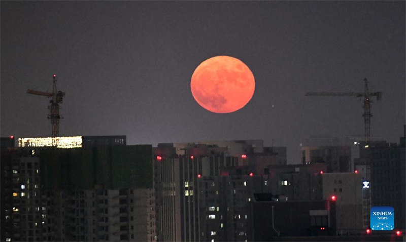 Galeria: Festival da Lua comemora a maior lua cheia do ano