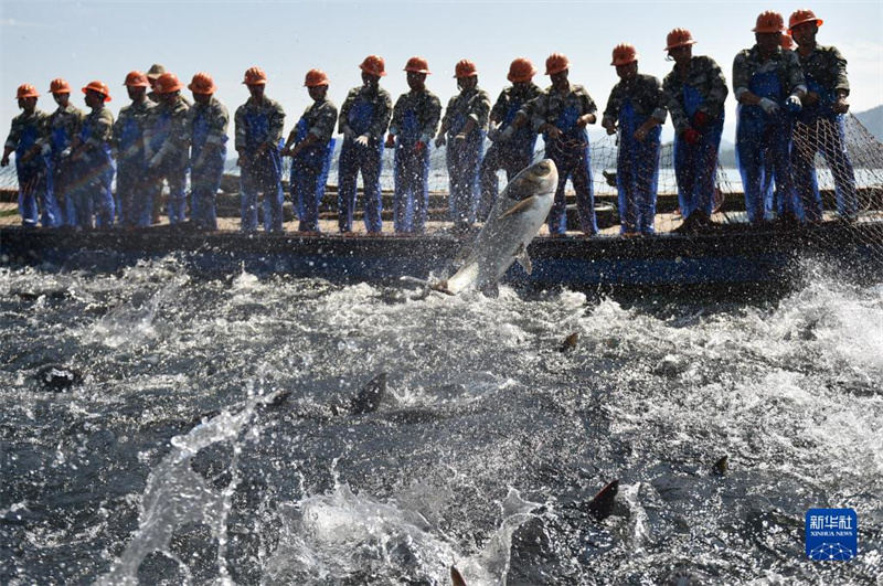 Zhejiang: época de pesca no lago Qiandao