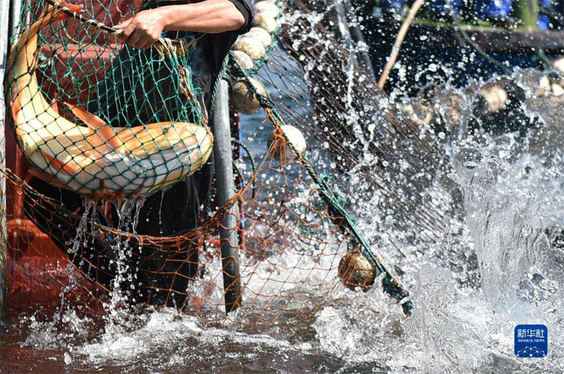 Zhejiang: época de pesca no lago Qiandao