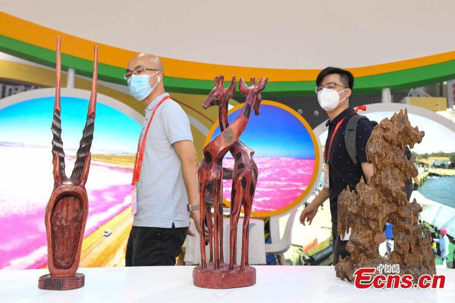 Galeria: destaques da segunda Exposição Econômica e Comercial China-África