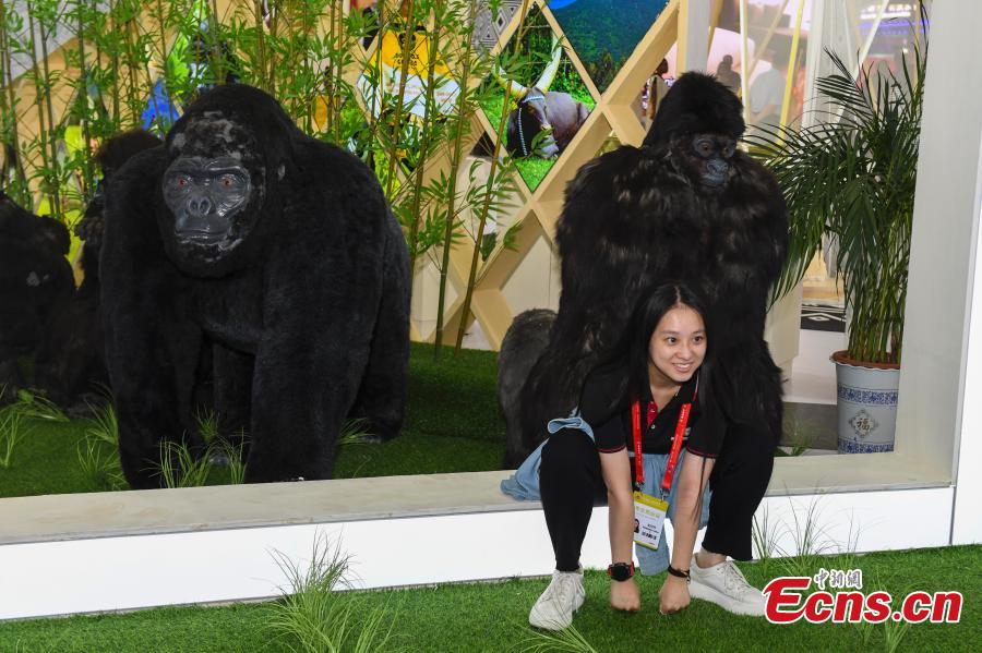 Galeria: destaques da segunda Exposição Econômica e Comercial China-África